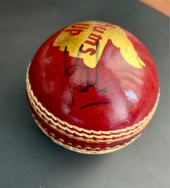 Ball- MSD